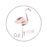 Cut It Now logo