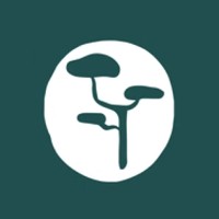 One Little Pine logo